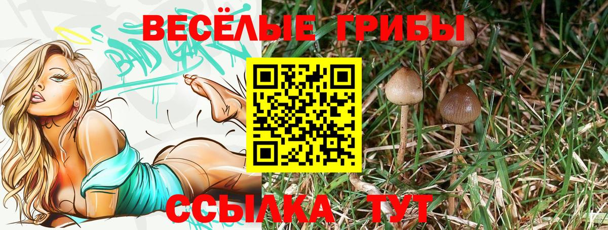 Галлюциногенные грибы прущие грибы  Вход с VPN  Мыски  Псилоцибиновые грибы мухоморы 